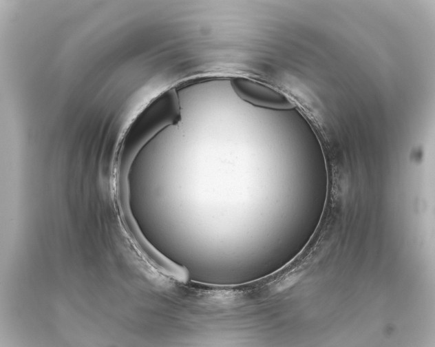 X0000093591188200710291116