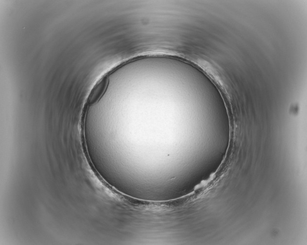X0000093591189200710291116