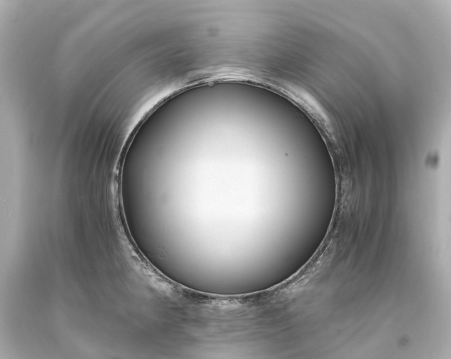 X0000093591190200710291116