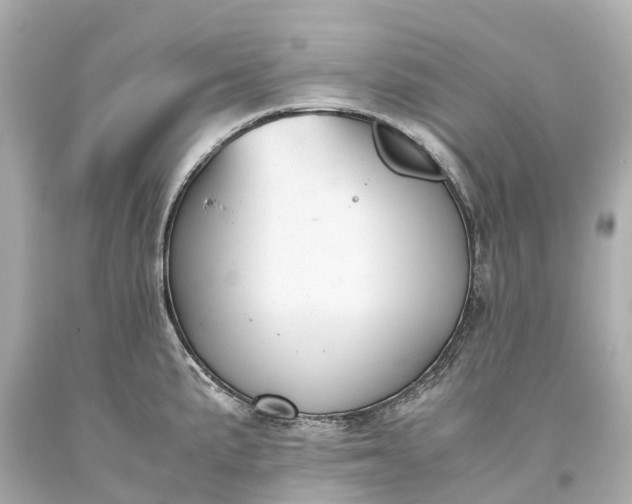 X0000093591191200710291116
