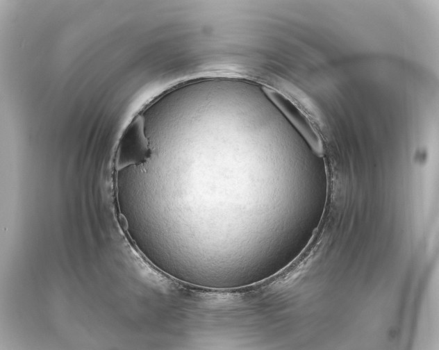 X0000093591192200710291116