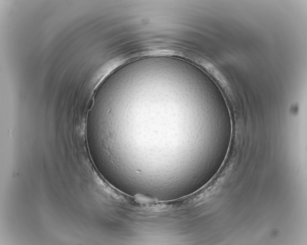 X0000093591193200710291116