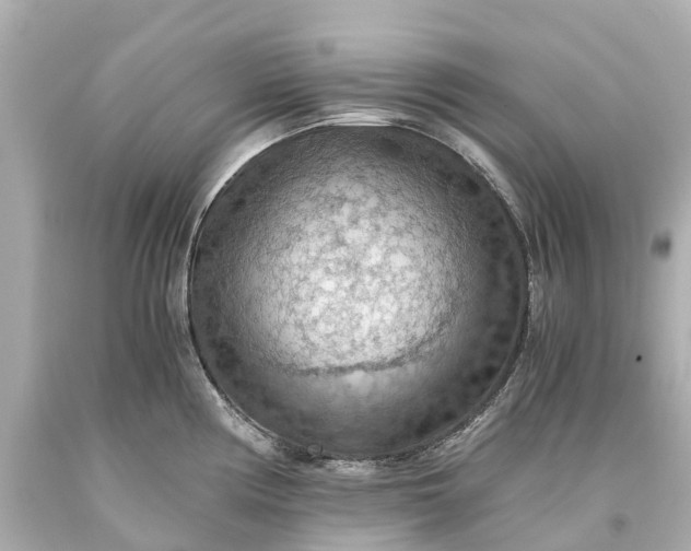X0000093591194200710291116