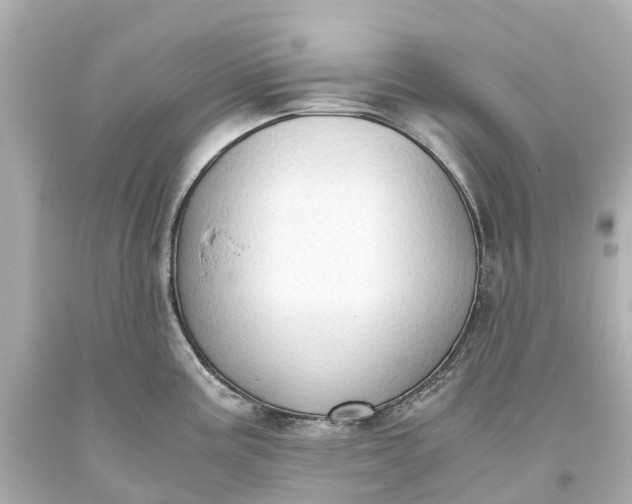 X0000093591195200710291115