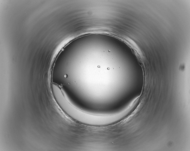 X0000093591196200710291115