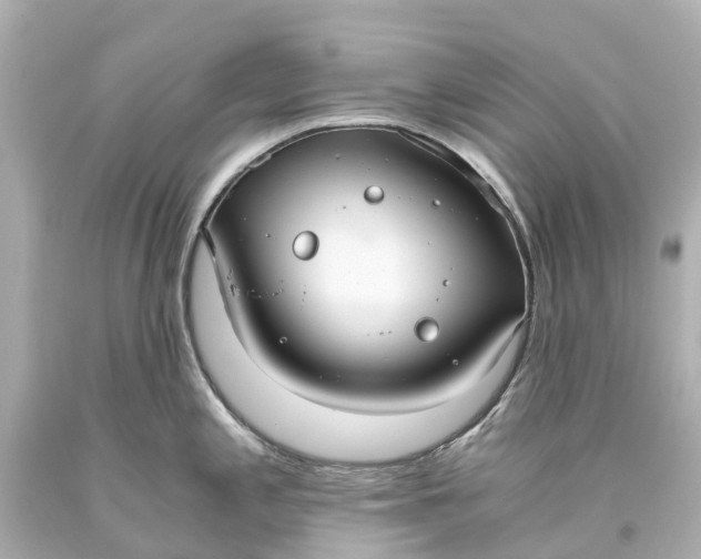 X0000093591197200710291115