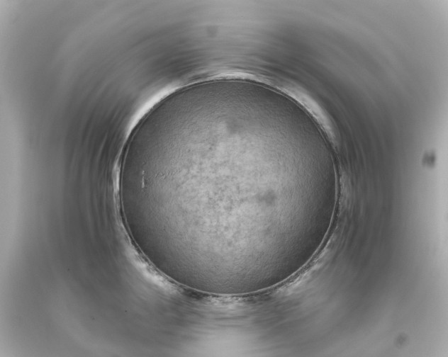 X0000093591198200710291115