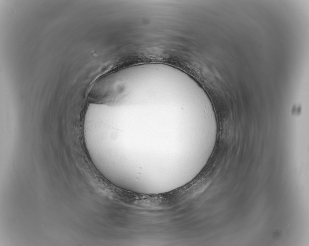 X0000093591201200710291115