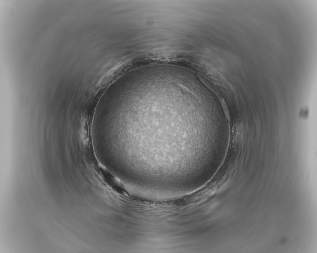 X0000093591202200710291115