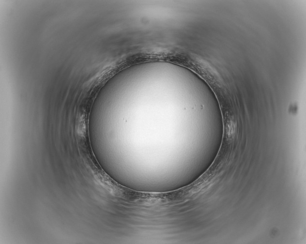 X0000093591204200710291115