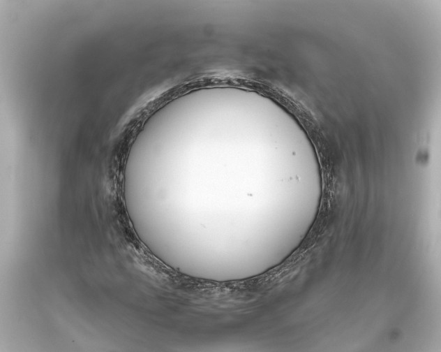 X0000093591207200710291115