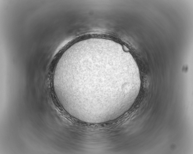 X0000093591208200710291115