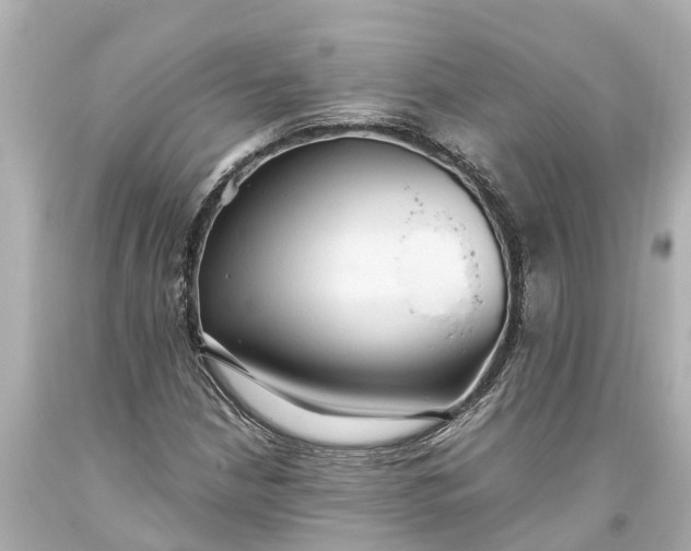 X0000093591210200710291115