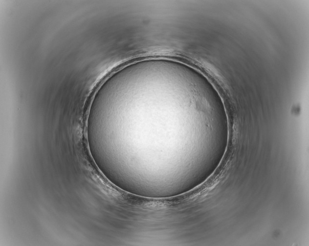 X0000093591212200710291115