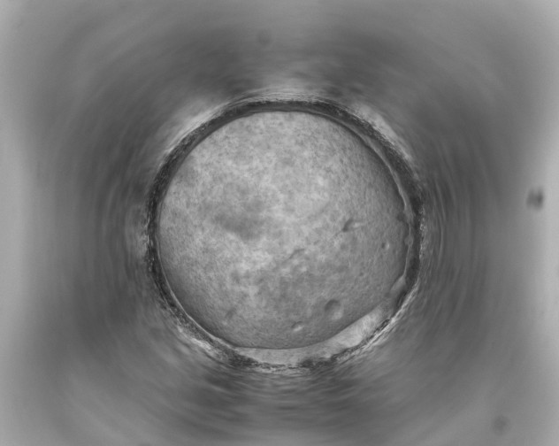 X0000093591213200710291115