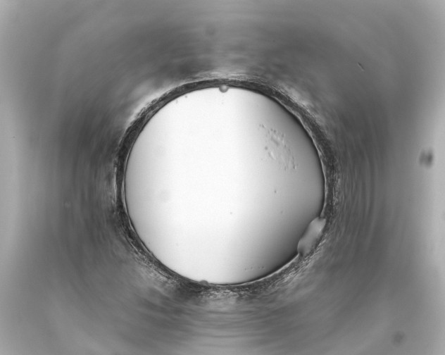 X0000093591214200710291115