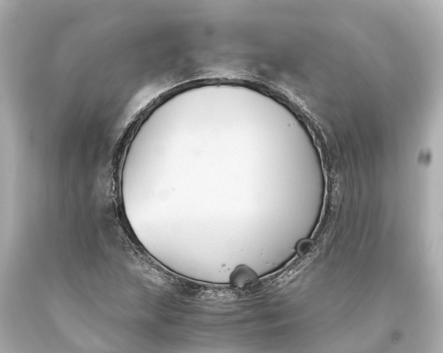 X0000093591215200710291115