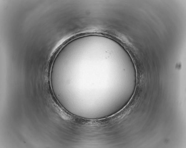 X0000093591216200710291115