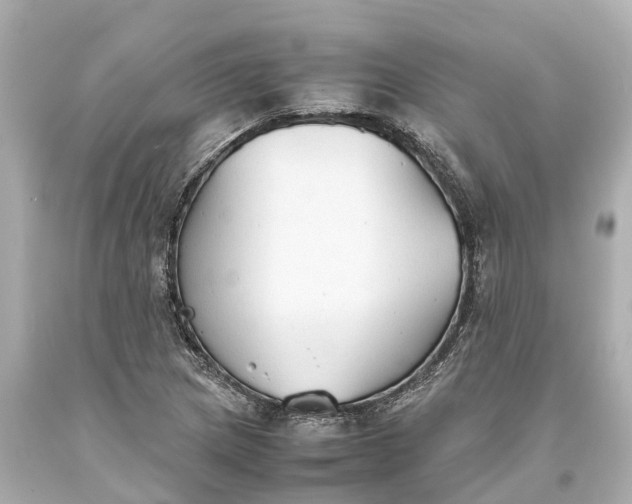 X0000093591217200710291115