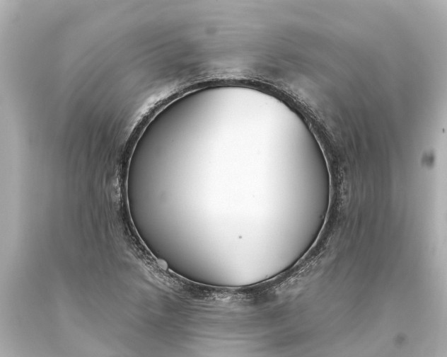 X0000093591218200710291115