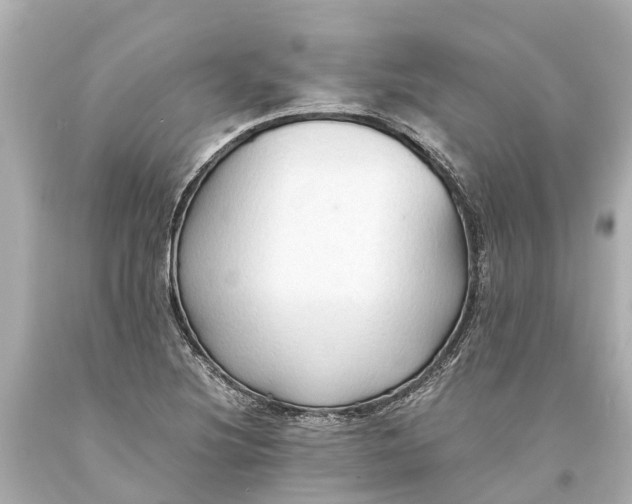 X0000093591220200710291115