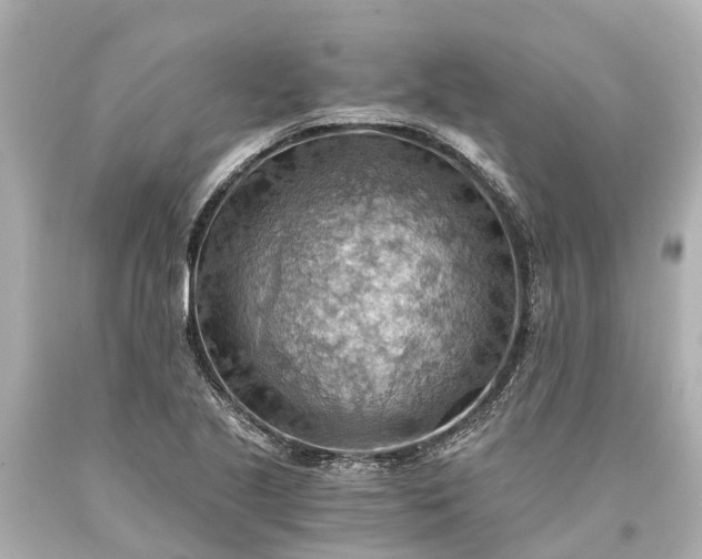 X0000093591221200710291115