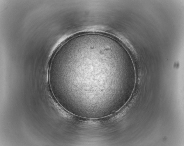 X0000093591224200710291115