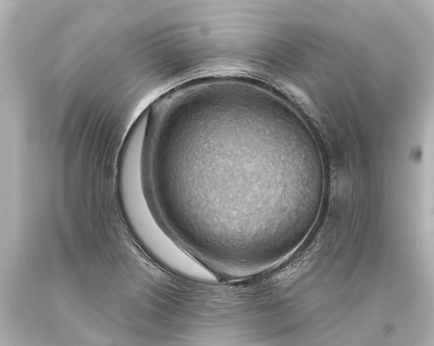 X0000093591226200710291115