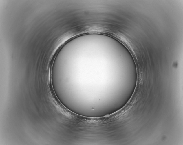 X0000093591227200710291115