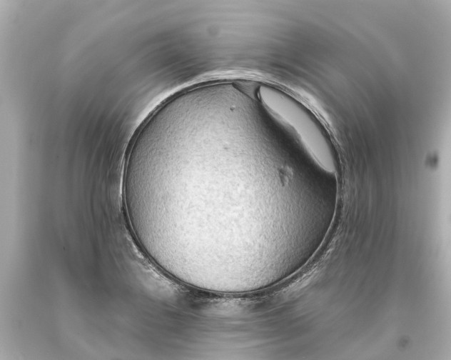 X0000093591228200710291115