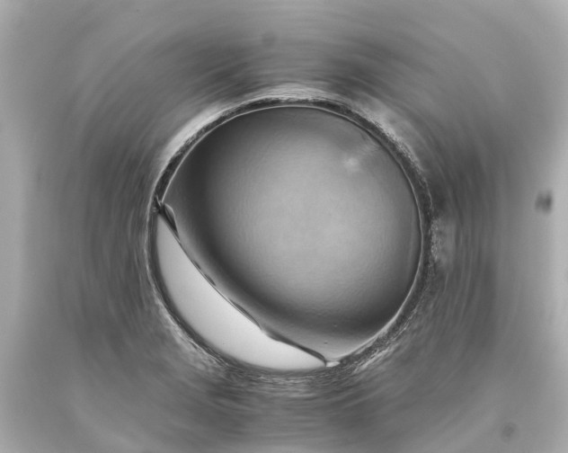 X0000093591229200710291115