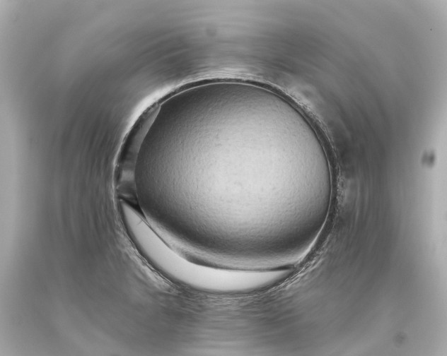 X0000093591230200710291115
