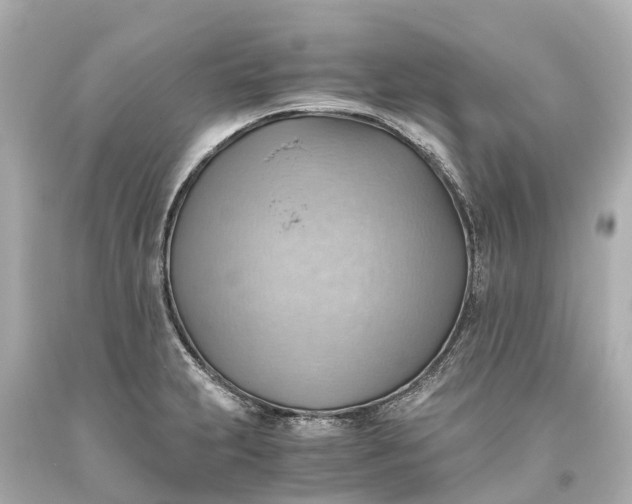 X0000093591231200710291115