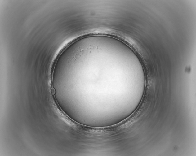 X0000093591232200710291115
