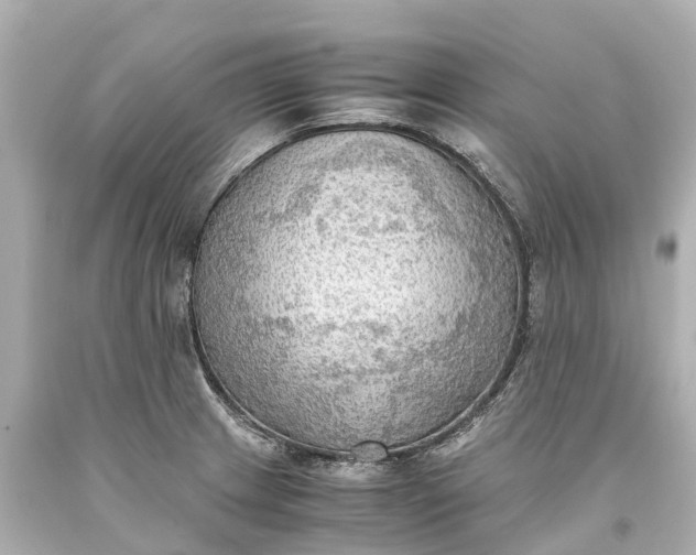 X0000093591233200710291115