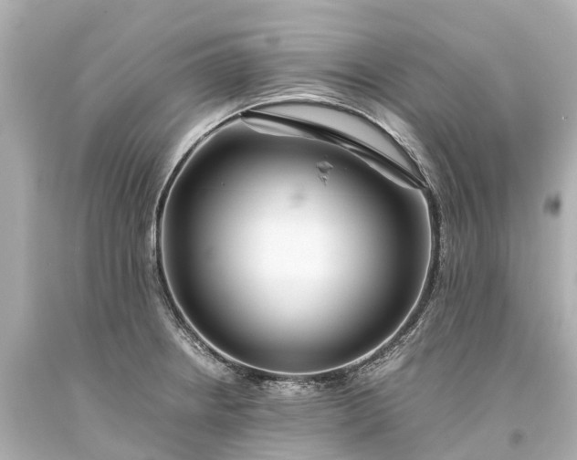 X0000093591234200710291115
