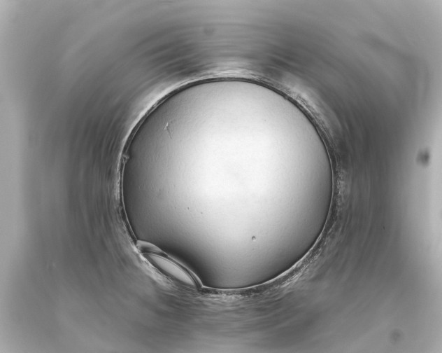 X0000093591236200710291115