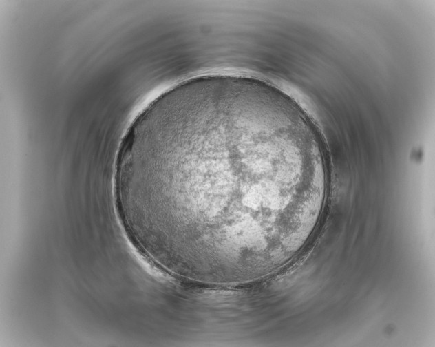 X0000093591237200710291115