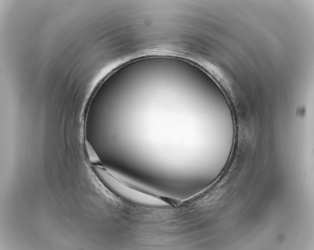 X0000093591238200710291115