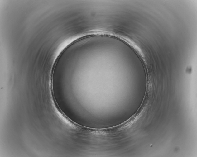 X0000093591239200710291115