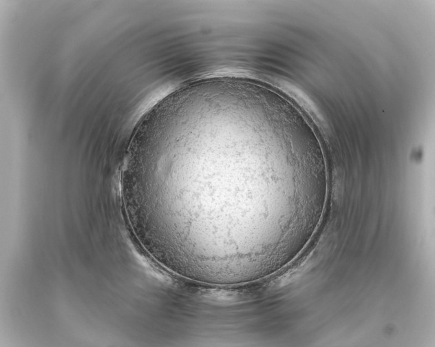 X0000093591241200710291115