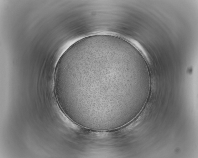 X0000093591244200710291115