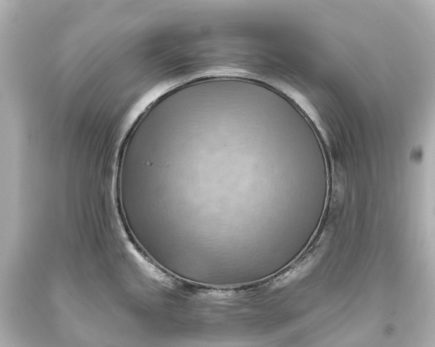 X0000093591245200710291115