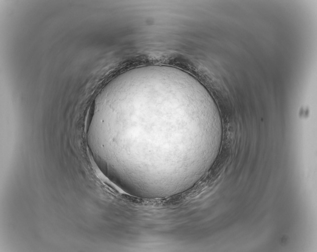 X0000093591249200710291115