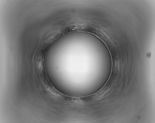 X0000093591250200710291115