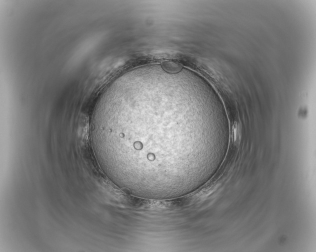 X0000093591251200710291115