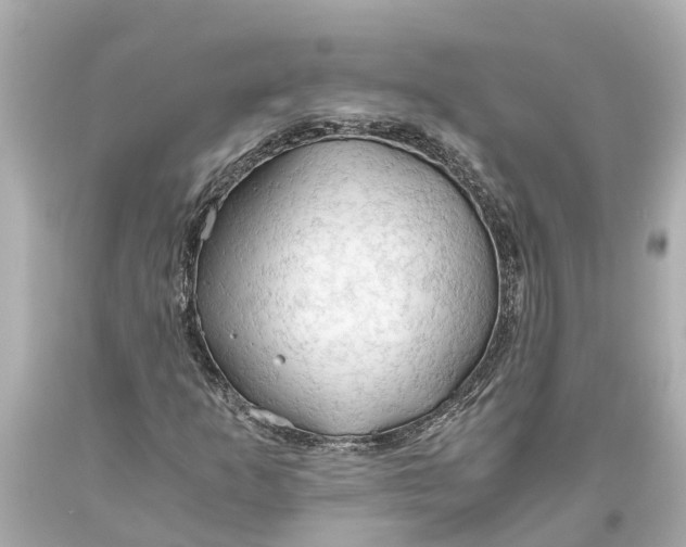 X0000093591253200710291115