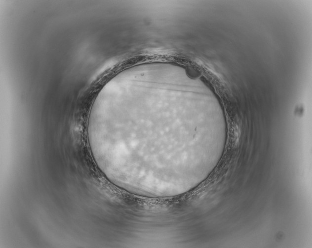 X0000093591254200710291115
