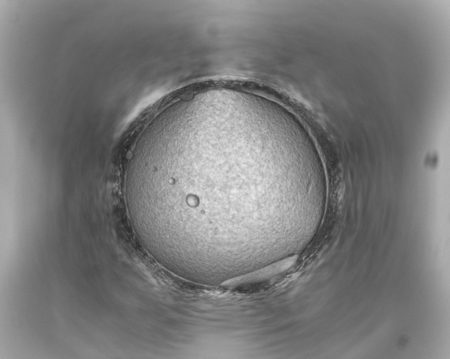 X0000093591255200710291115