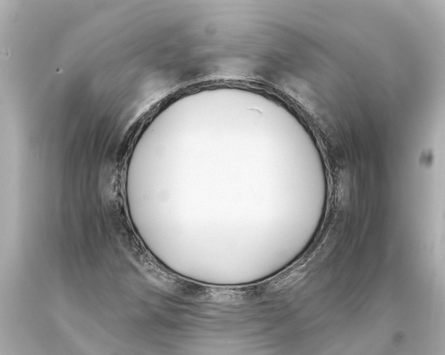 X0000093591258200710291114